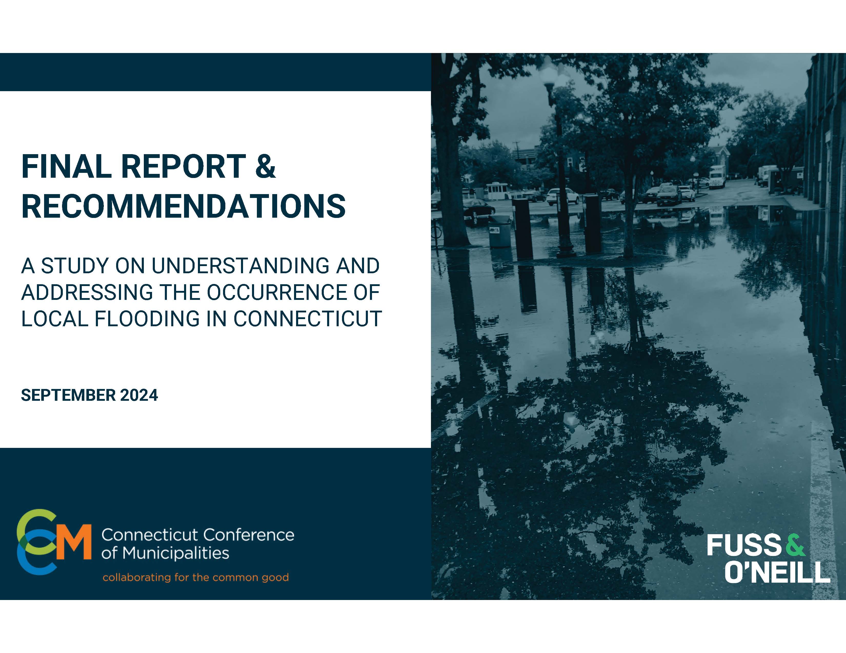 Ccm Report Flood Study